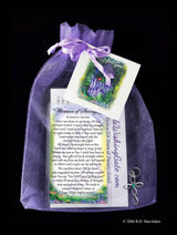 Woman of Strength - Pocket Blessing | PurpleWishingGate.com